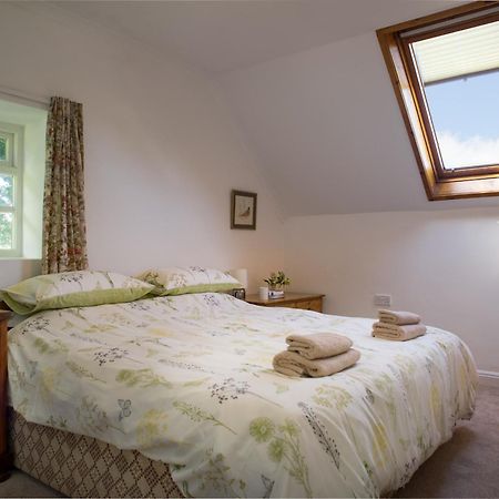Garden Cottage Newcastle Emlyn Kültér fotó
